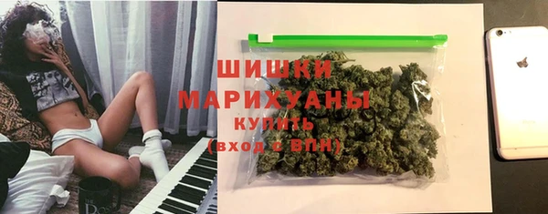 тгк Бородино