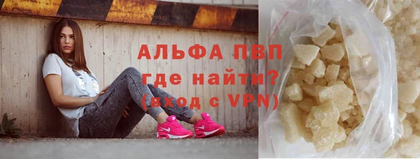 эйфоретик Богданович