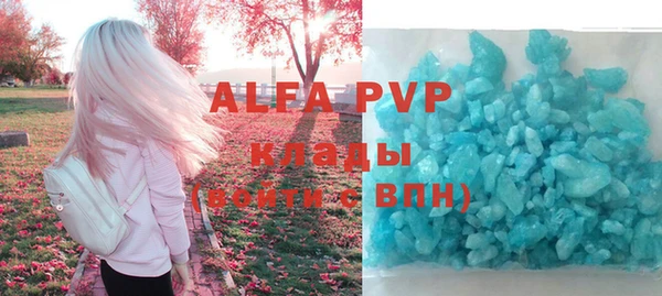 тгк Бородино