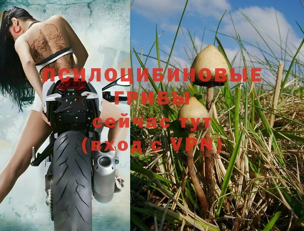 каннабис Верхний Тагил