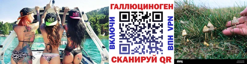 наркота  Дагестанские Огни  Псилоцибиновые грибы MAGIC MUSHROOMS 